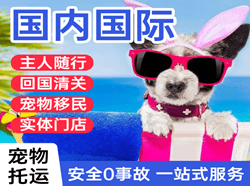 观音机场物流国际宠物托运 【国